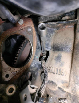 crankshaft hall sensors